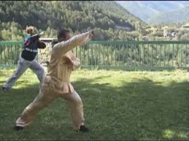 Shaolin Combat Sequences