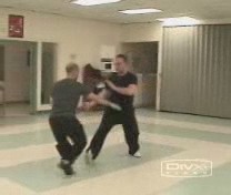Combat Sequences from Shaolin Five Animals