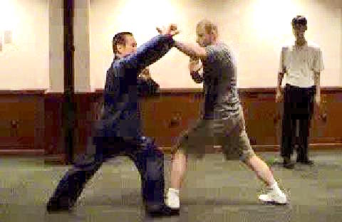 Shaolin Kung Combat Sequences