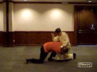 Shaolin Kung Fu against Wrestling