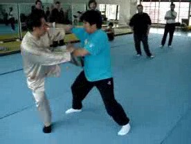 shaolin kung fu free sparring