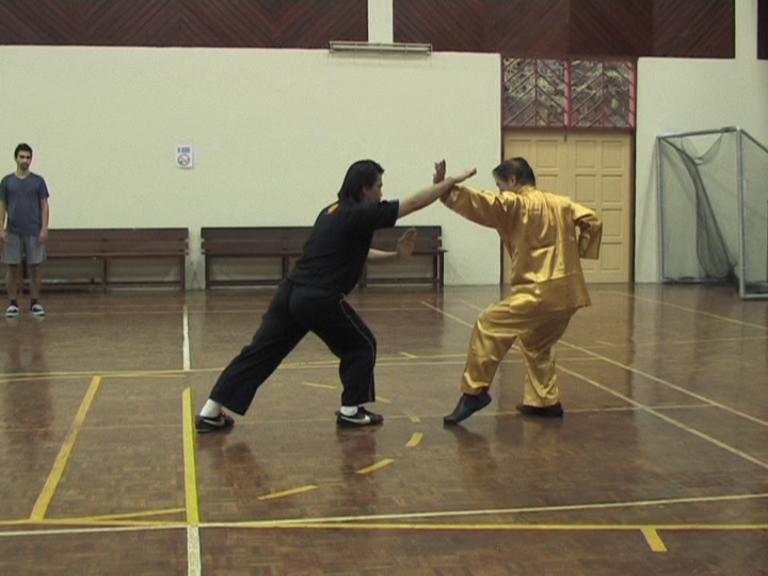 Shaolin 16 Combat Sequences