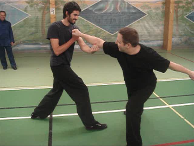 Shaolin Kungfu in combat
