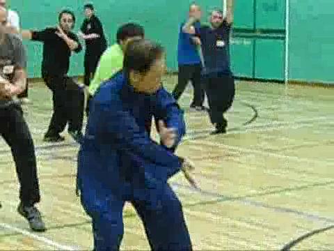 Video Clip Series: Drunken Eight Immortals -- Part 1