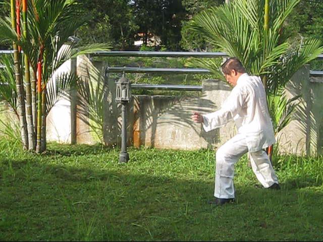 64 Palms of Baguazhang
