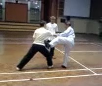 Beauty of Shaolin Kungfu