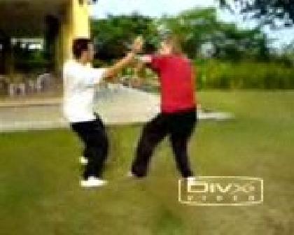 kungfu free sparring