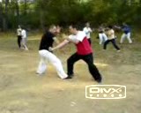 Low Stance Vertical Punch