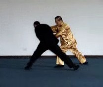 Counters against Throws in Taijiquan