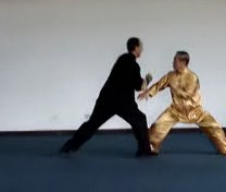 Counters against Grips in Taijiquan