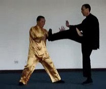 Counters against Kicks in Taijiquan