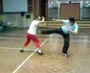 Shaolin Kungfu Combat Sequences